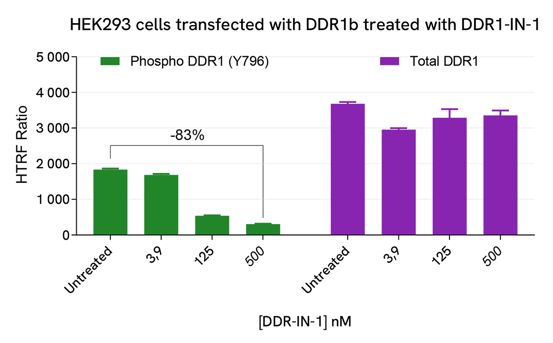 Pharmacological Validation (inhibitor) of Phospho-DDR1 (Tyr796)