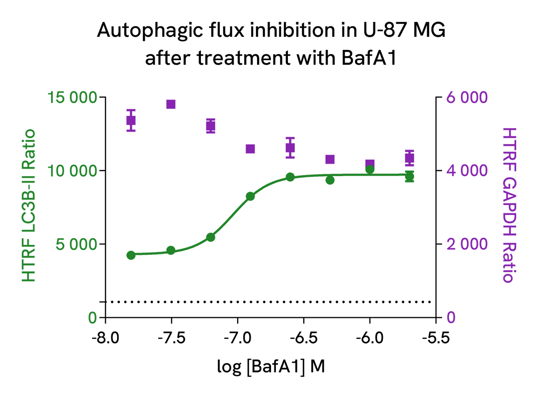 HTRF LC3B II modulation using Bafimomycin A1