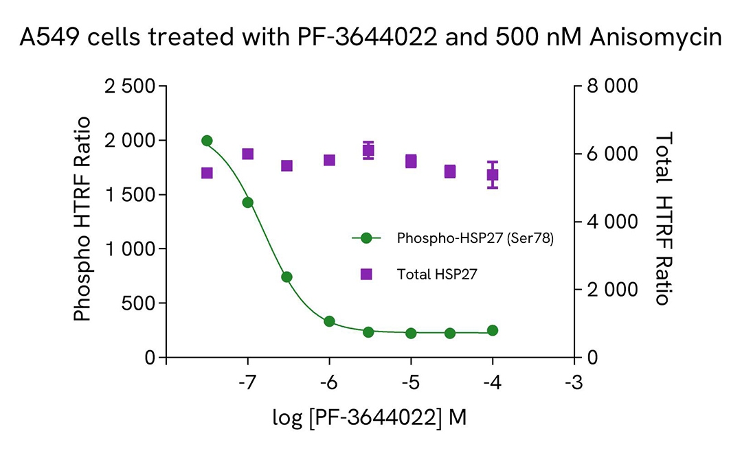 assay validation