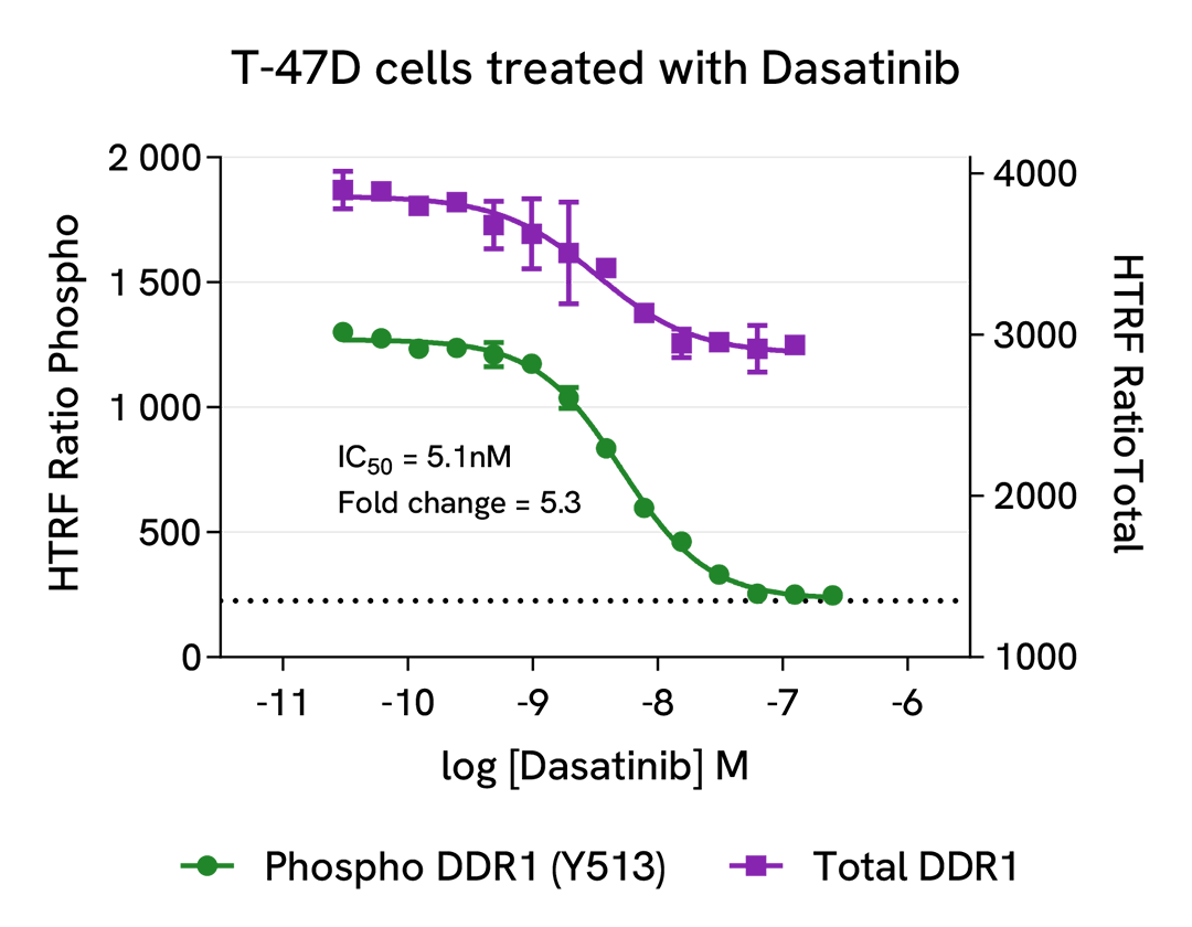 Pharmacological Validation (inhibitor) of Phospho-DDR1 (Tyr513) 