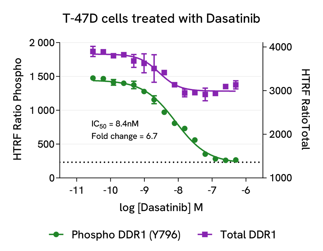 Pharmacological Validation (inhibitor) of Phospho-DDR1 (Tyr796) 