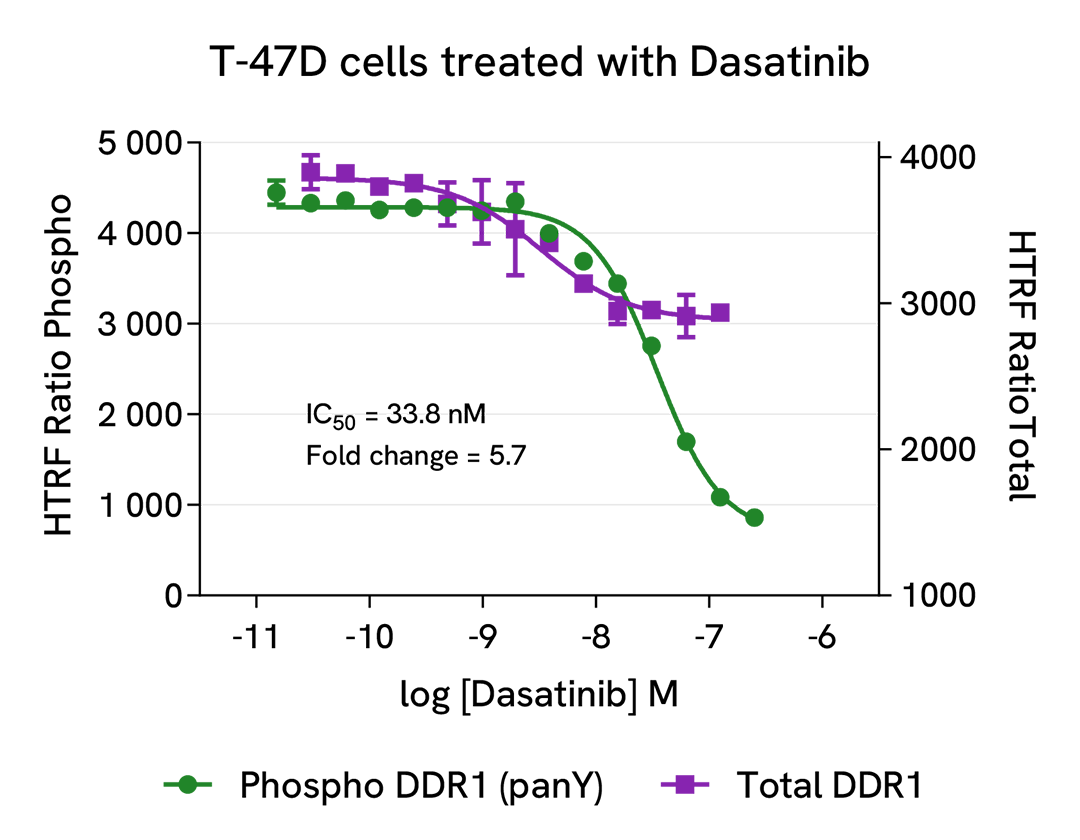 Pharmacological Validation (inhibitor) of Phospho-DDR1 (panTyr) 