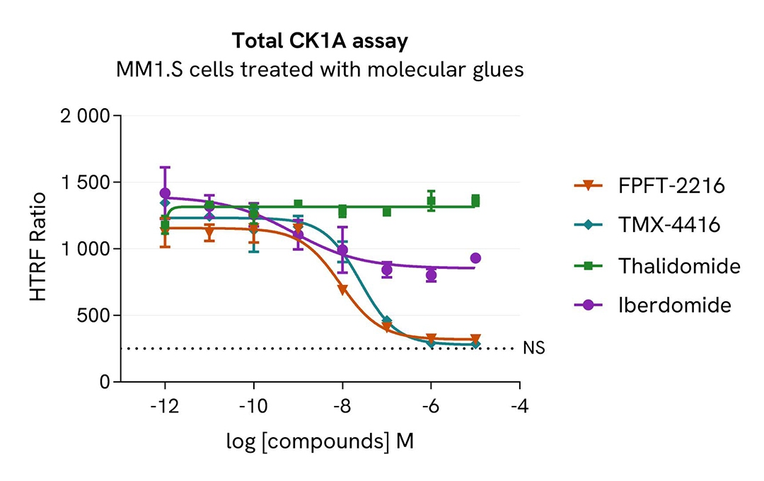 assay validation inhibitor glue CK1A total