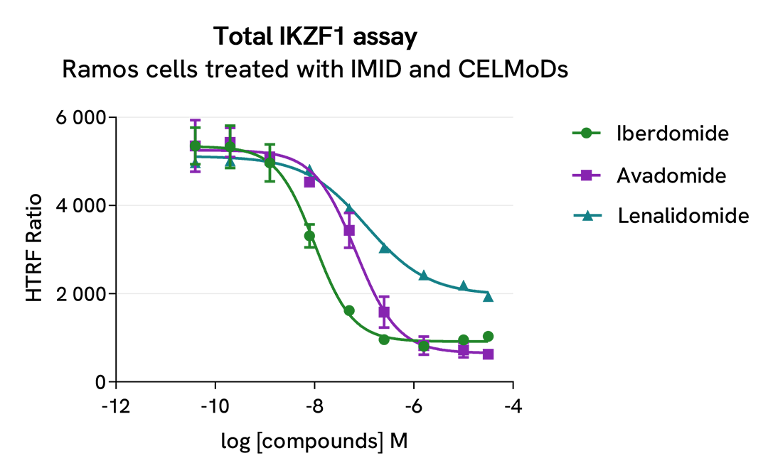 Pharmacological Validation (inhibitor) Total IKZF1