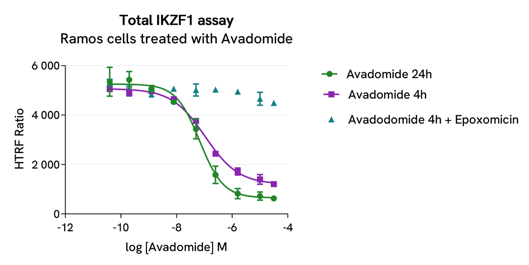 Pharmacological Validation (inhibitor) Total IKZF1