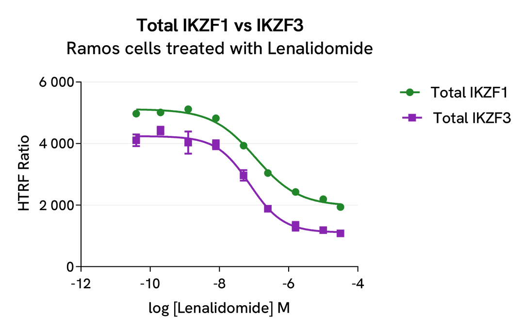 Pharmacological Validation (inhibitor) Total IKZF1