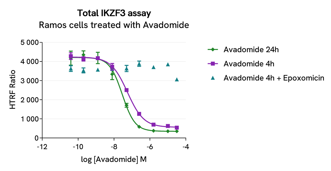 Total IKZF3 on Ramos cells treated with IMID and CELMoDs 