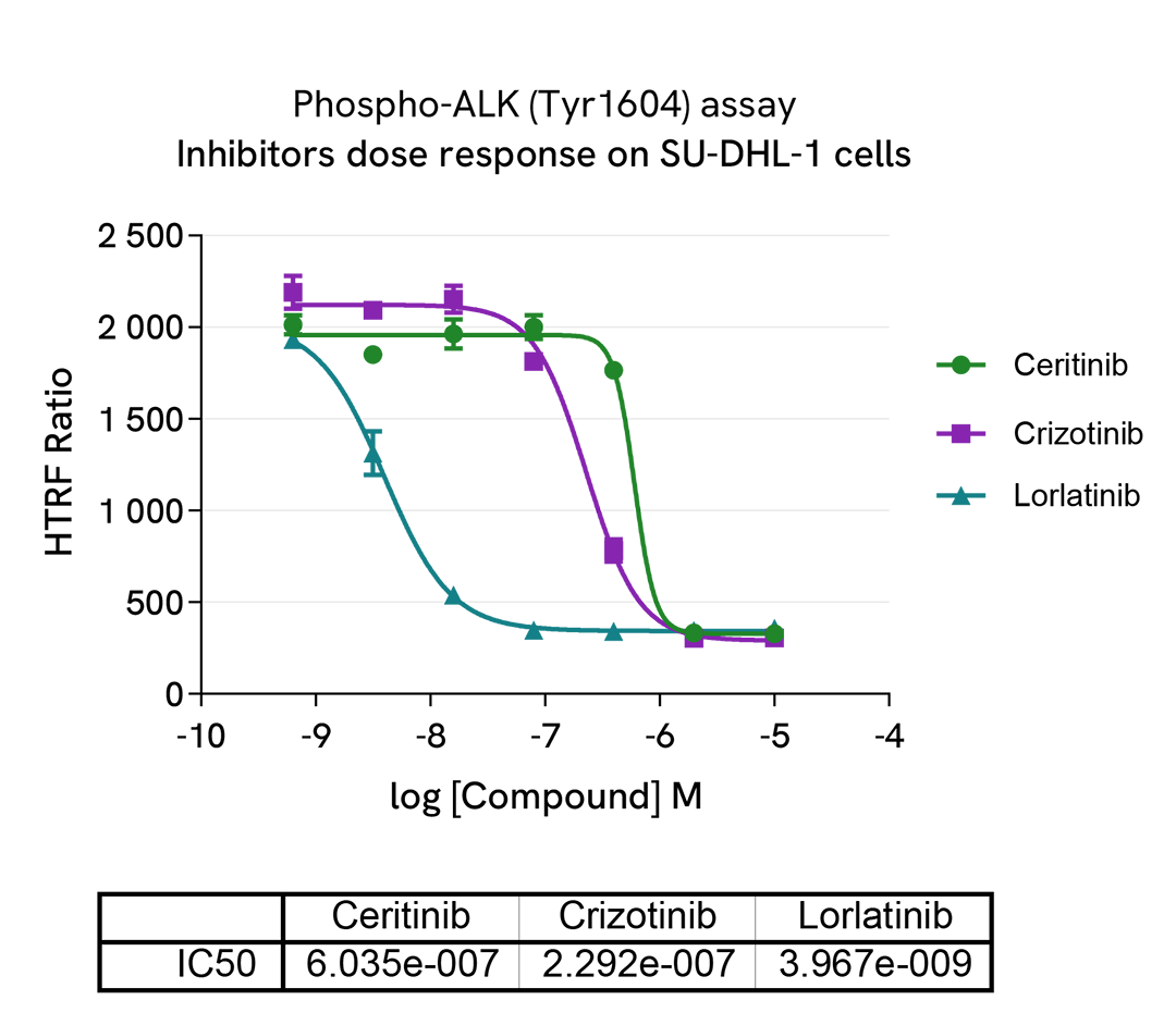 Pharmacological Validation (inhibitor) of Phospho Y1604 ALK