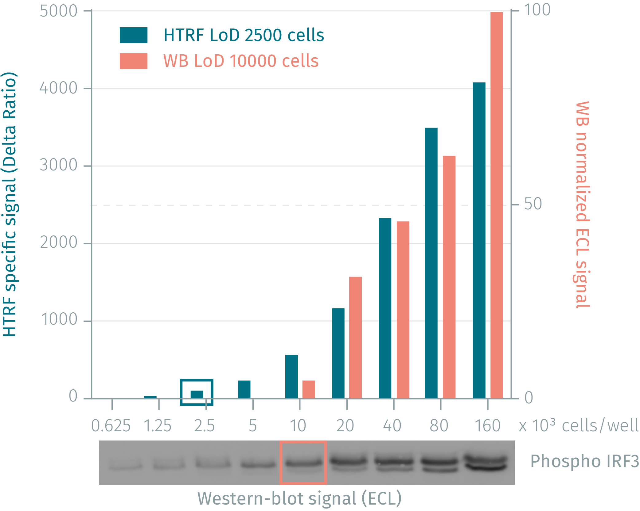 assay-validation-irf3-phospho-s386-3