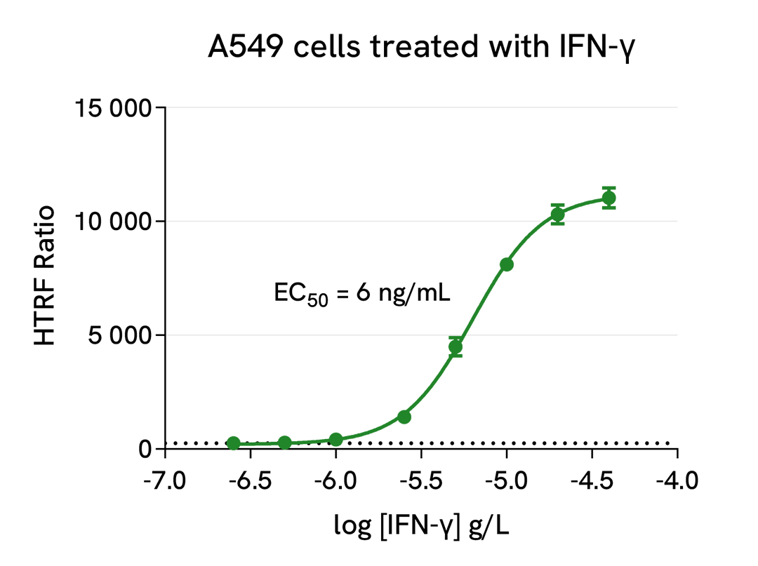 Induction of IDO1 expression by IFN- γ