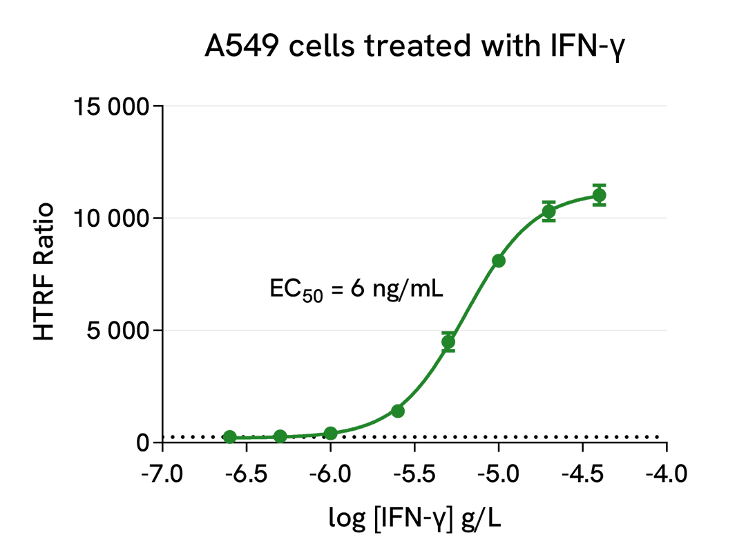 Induction of IDO1 expression by IFN- γ