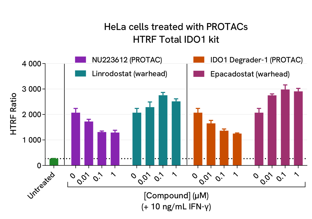 HTRF Total IDO1 degradation by two PROTACs on HeLa cells