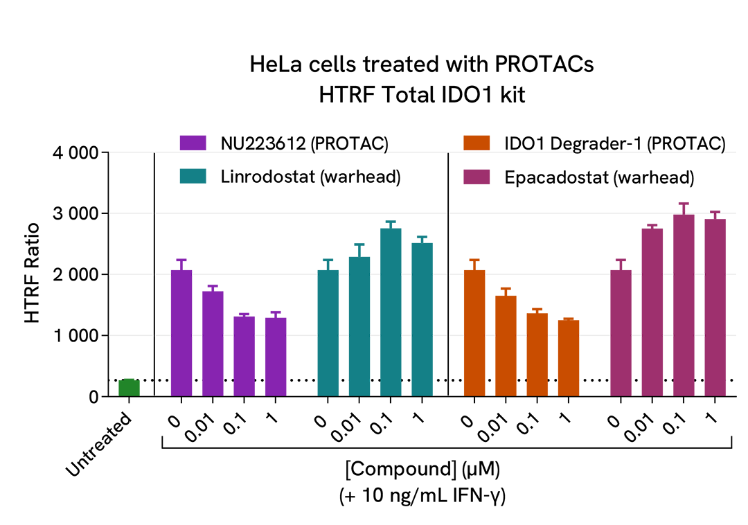 HTRF Total IDO1 degradation by two PROTACs on HeLa cells