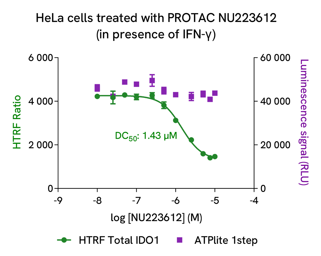 HTRF Total IDO1 and ATPlite on HeLa cells treated with a dose response of PROTAC NU223612