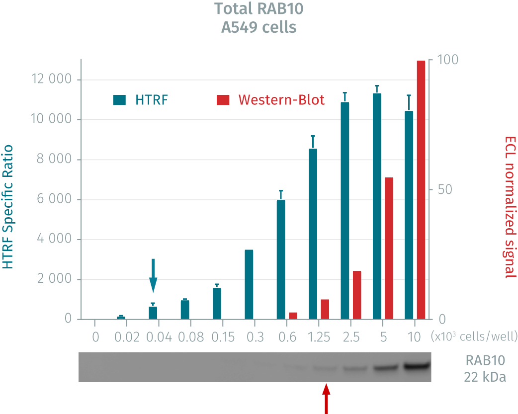 assay-validation-rab10-total-pharmaco-4