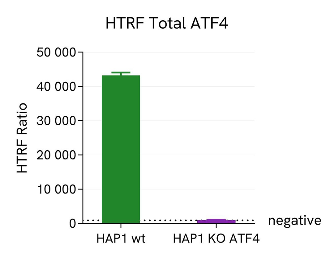 assay validation