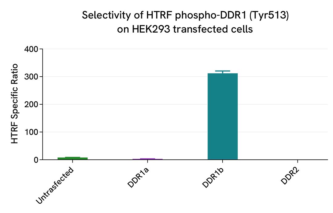 Selectivity of Phospho-DDR1 (Tyr513) assay