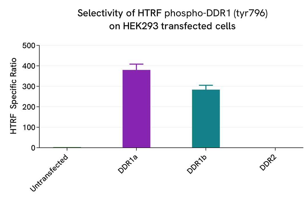 Selectivity of Phospho-DDR1 (Tyr796) assay