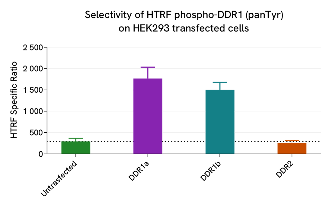 Selectivity of Phospho-DDR1 (panTyr) assay