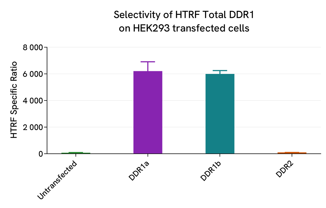 Selectivity of Total DDR1 assay