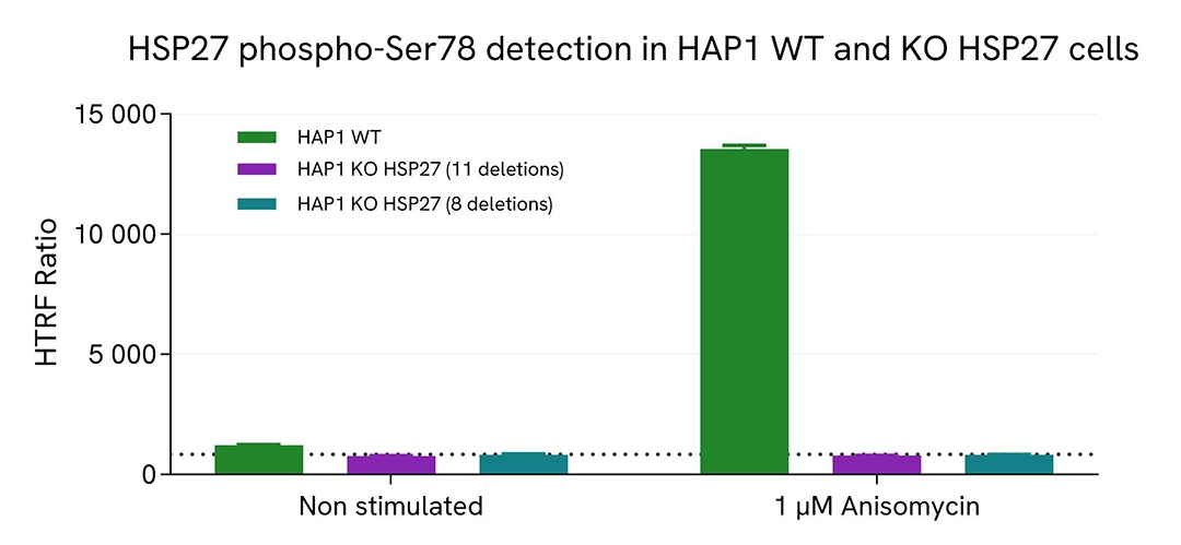 assay validation