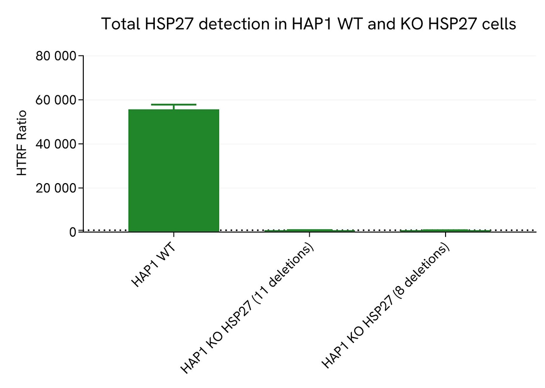 assay validation