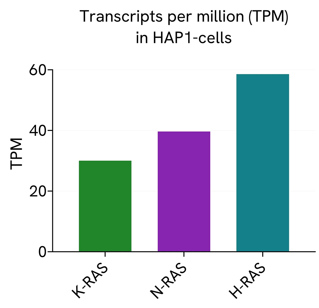 assay validation