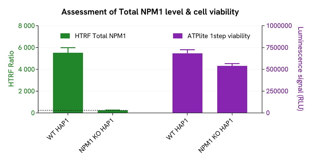 assay-validation-specificity-NPM1-KO-NPM1-Total-64NPMTPEG-64NPMTPEH-64NPMTPEY.jpg
