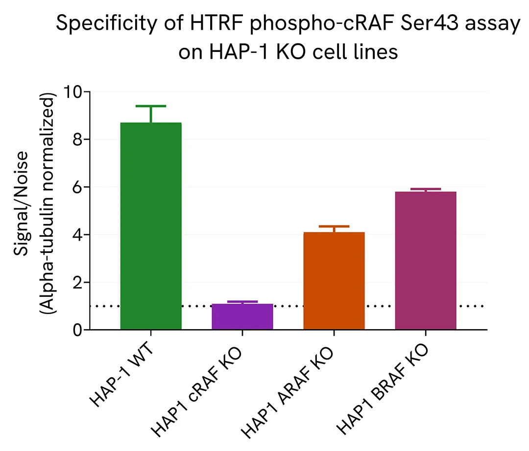 assay validation