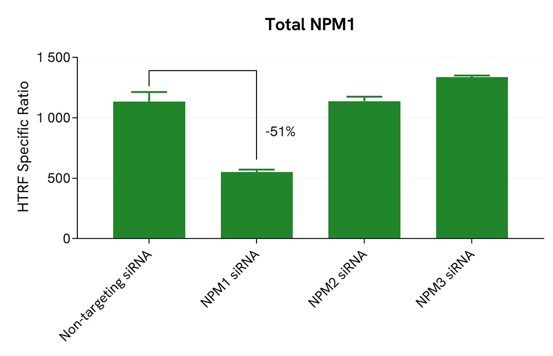 assay-validation-specificity-siRNA-NPM1-Total-64NPMTPEG-64NPMTPEH-64NPMTPEY.jpg