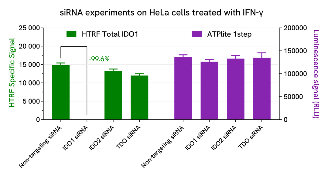 Specificity of HTRF Total IDO1 assay using siRNAs on HeLa cells