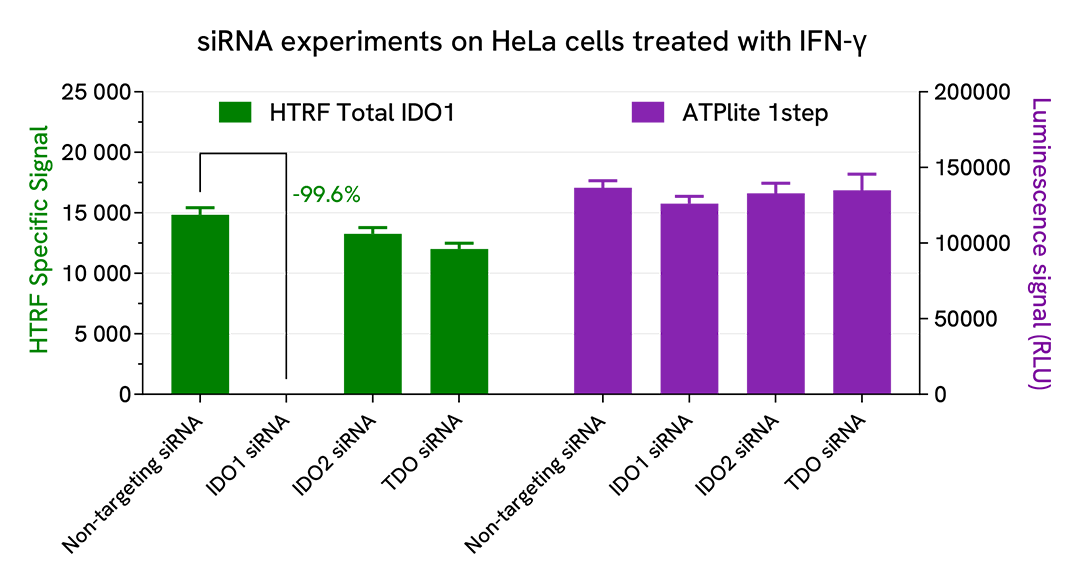 Specificity of HTRF Total IDO1 assay using siRNAs on HeLa cells