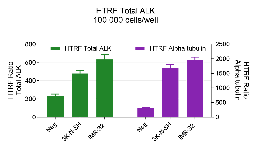 Total ALK detection on human cells lines 