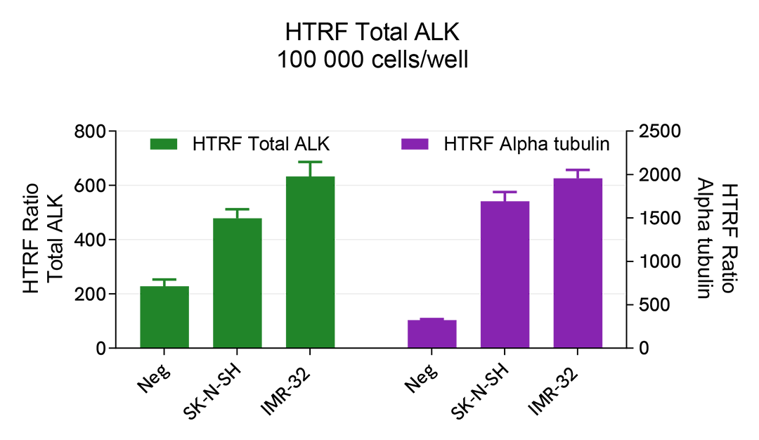 Total ALK detection on human cells lines 