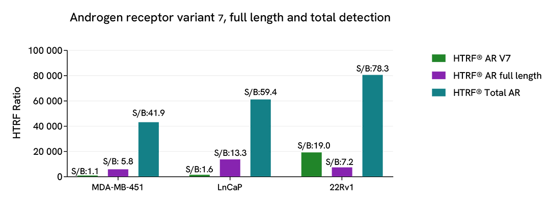 Assay versatility of Androgen receptor assays using various human cell lines