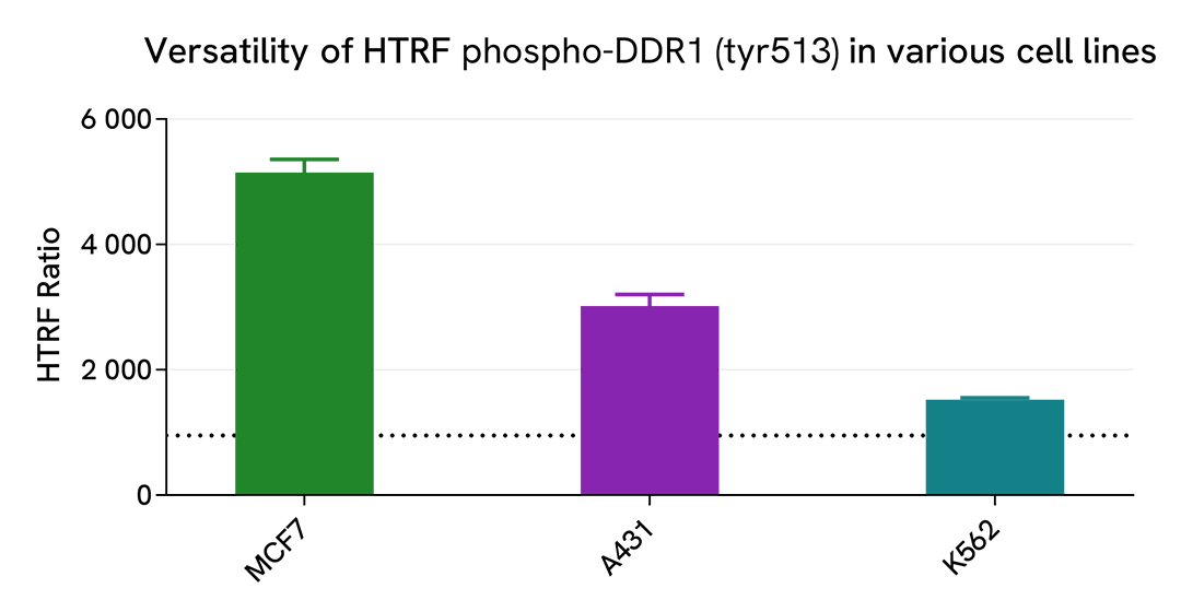 Specificity of Phospho-DDR1 (Tyr513) assay using various human cell lines 