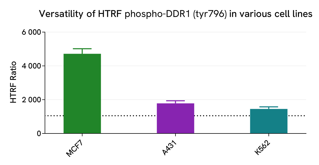 Specificity of Phospho-DDR1 (Tyr796) assay using various human cell lines 