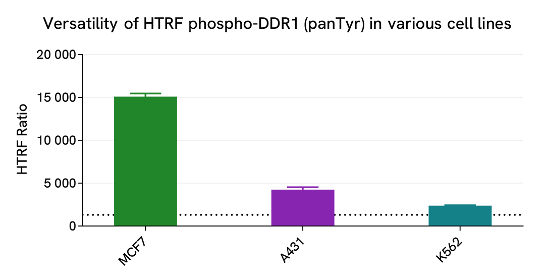 Versatility of Phospho-DDR1 (panTyr) assay using various human cell lines 