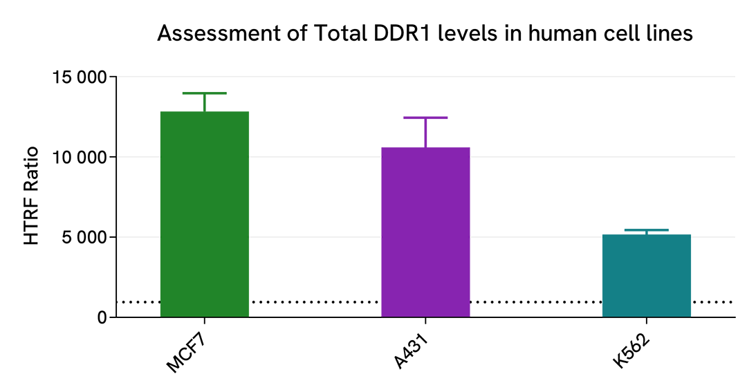 Specificity of Total DDR1 assay using various human cell lines 