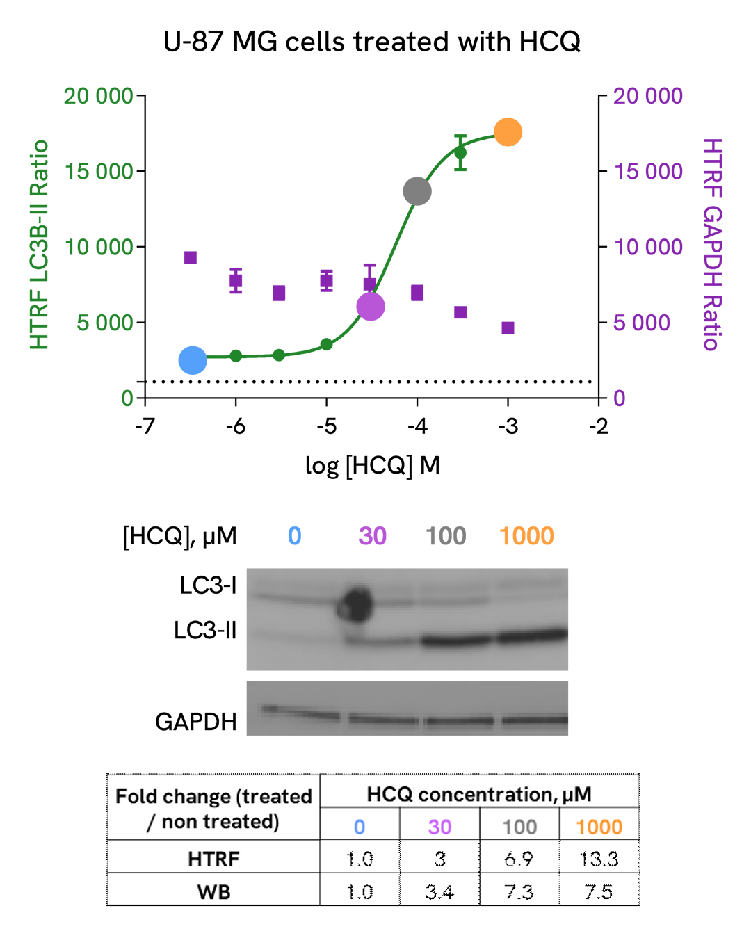 Comparison between HTRF and WB on LC3B-II