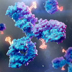 Antibody Drug Conjugate Services