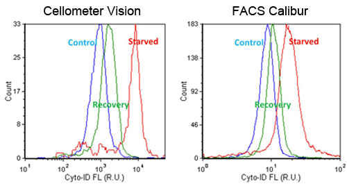 Autophogy compare to flow cytometry graph