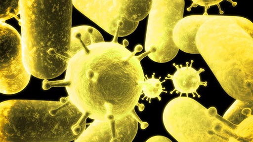 Bacterial & viral nucleic acid Isolation