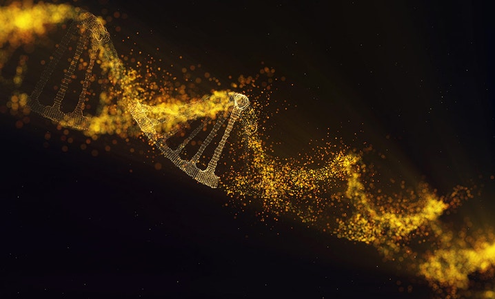 base editing platform hero