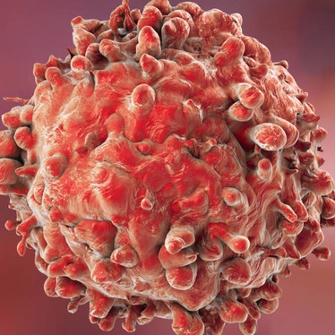 Biomarker Detection Reagents