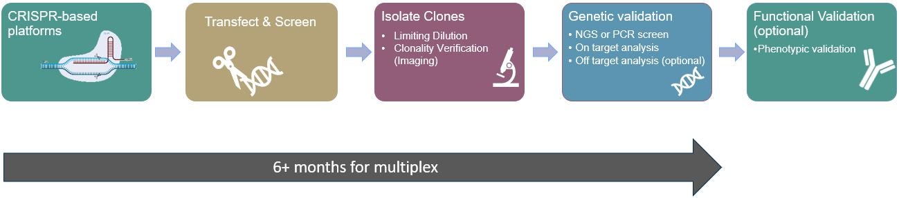 biop-cle-workflow