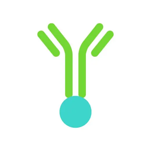 Biotinylated Antibody image