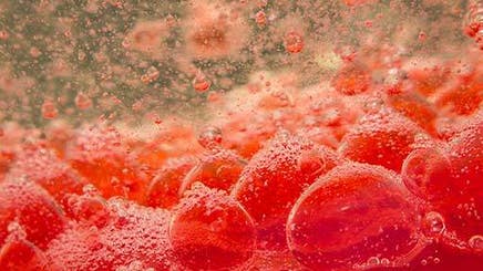 bleed-to-read-512x288