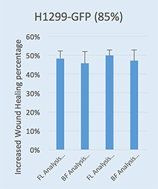 Bright field fluorescent comparison data wound healing