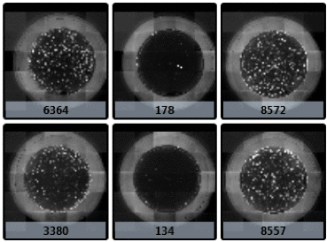 Bright field images of transwell membrane surface